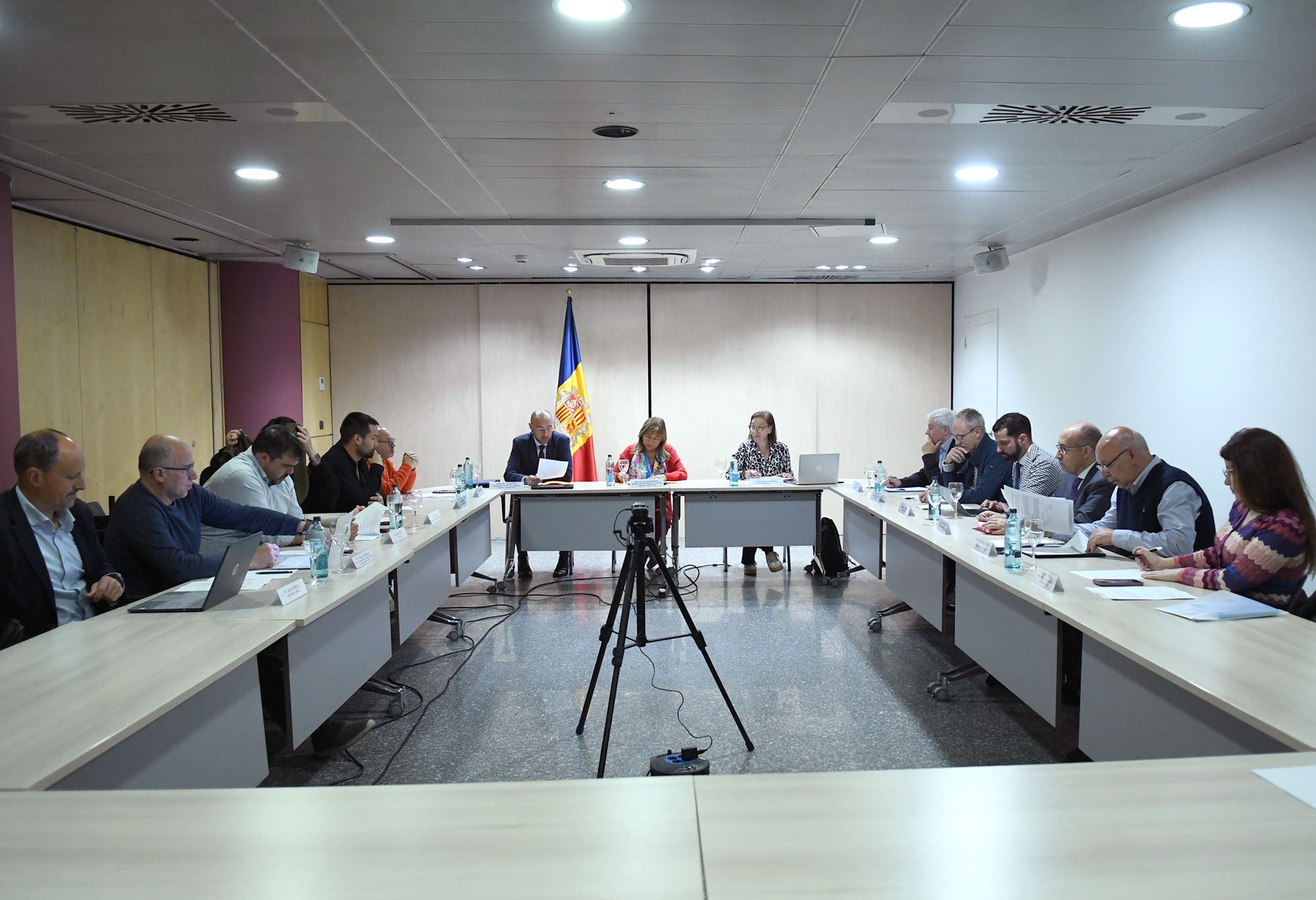 20250515 Consell Econòmic i Social