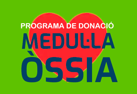 ossia