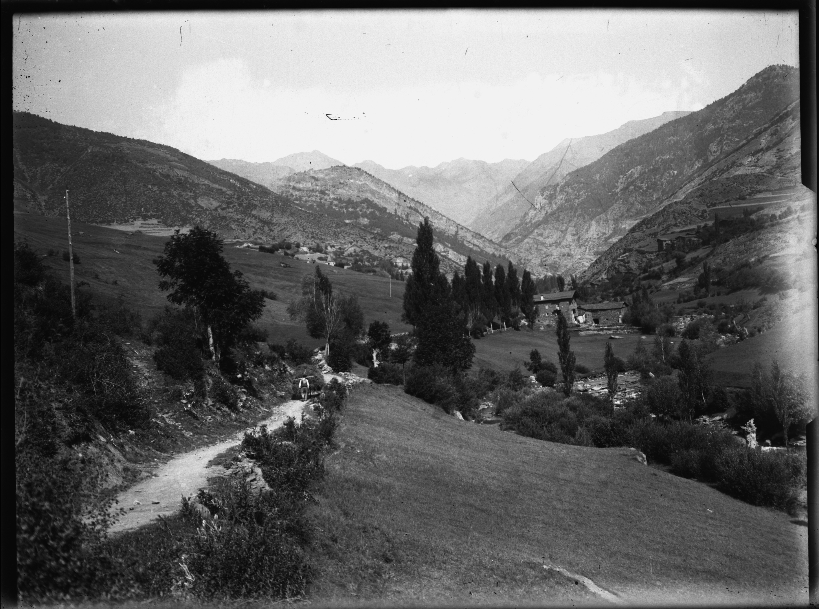 FGP-174: Paisatge de la Massana