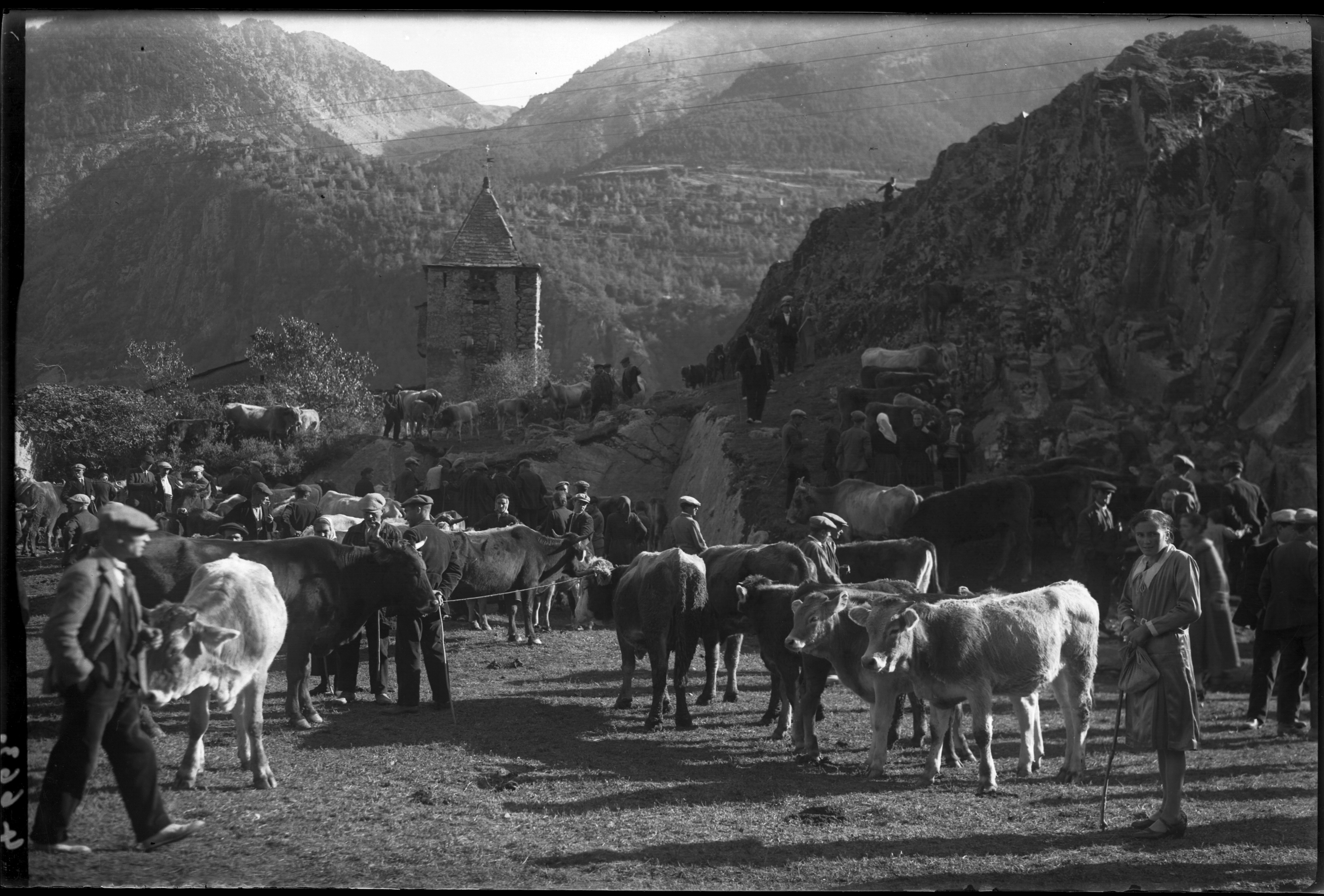 FGP-359: Fira del bestiar d'Andorra la Vella a les Peces del Felip Blau