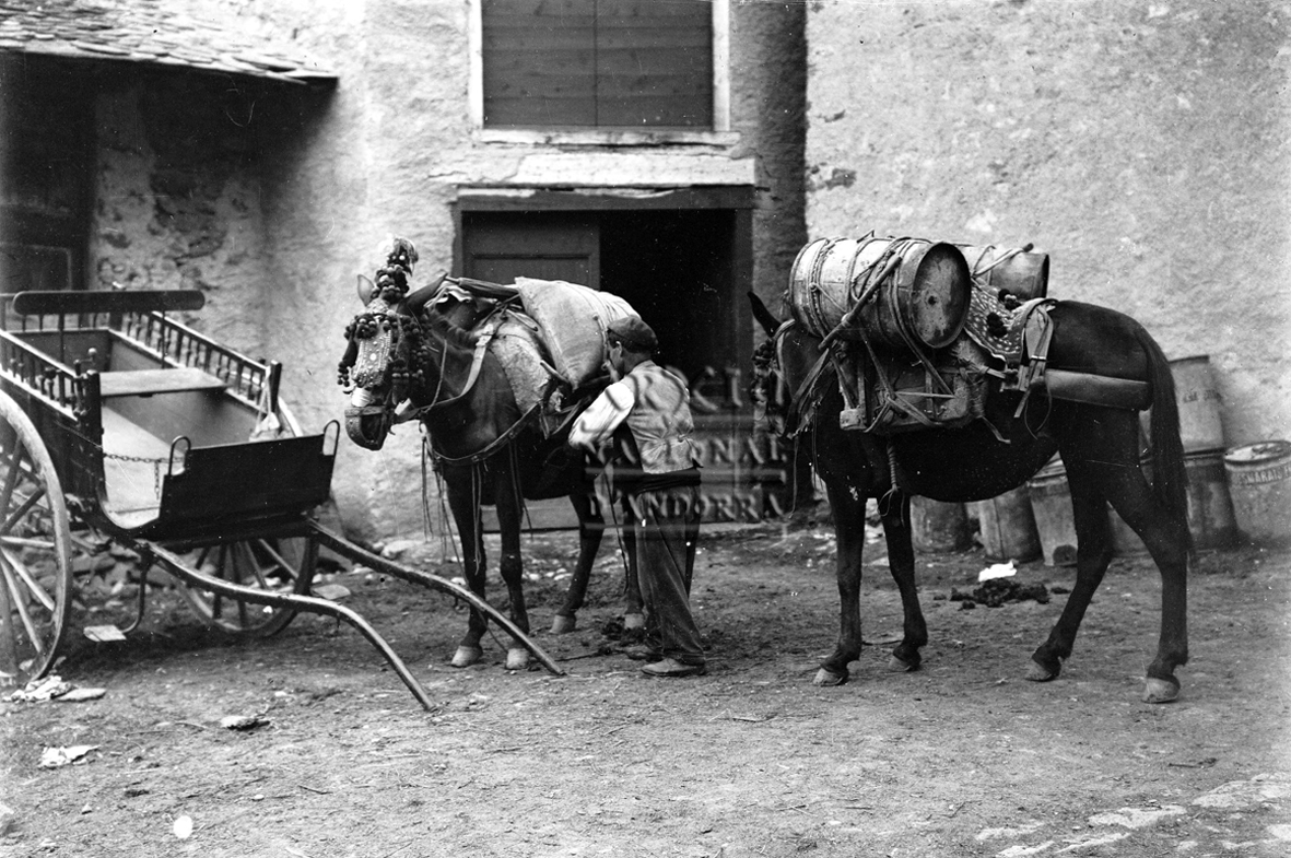 184-FBUI: Instantània d’un home i dos matxos carregats