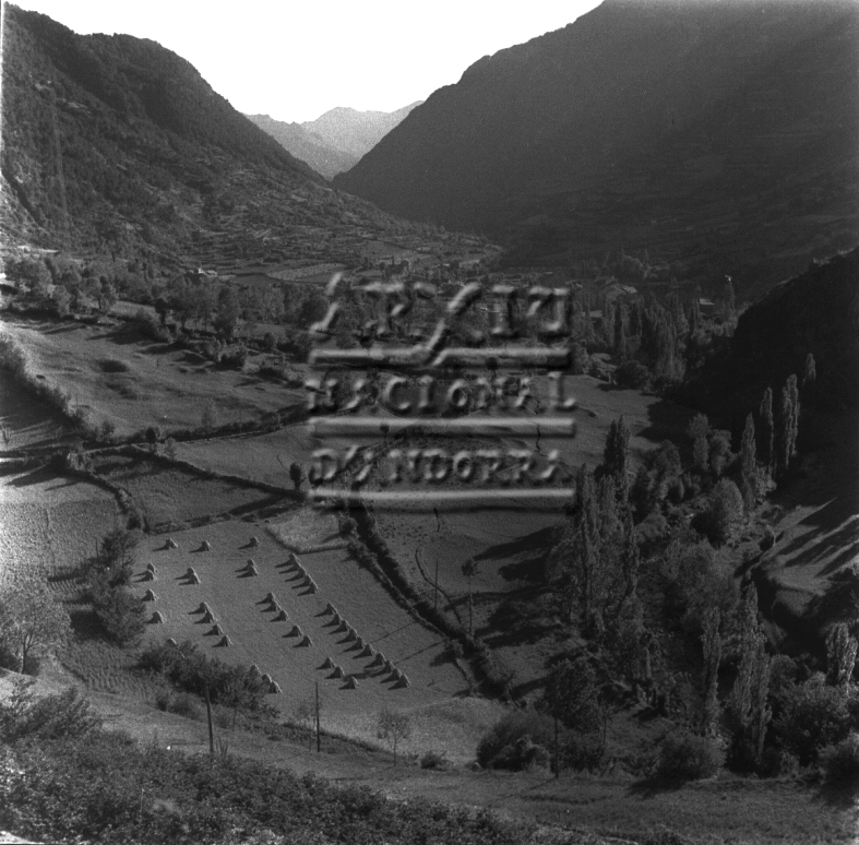 FJR_034: Prats amb cavallons a la vall d’Encamp