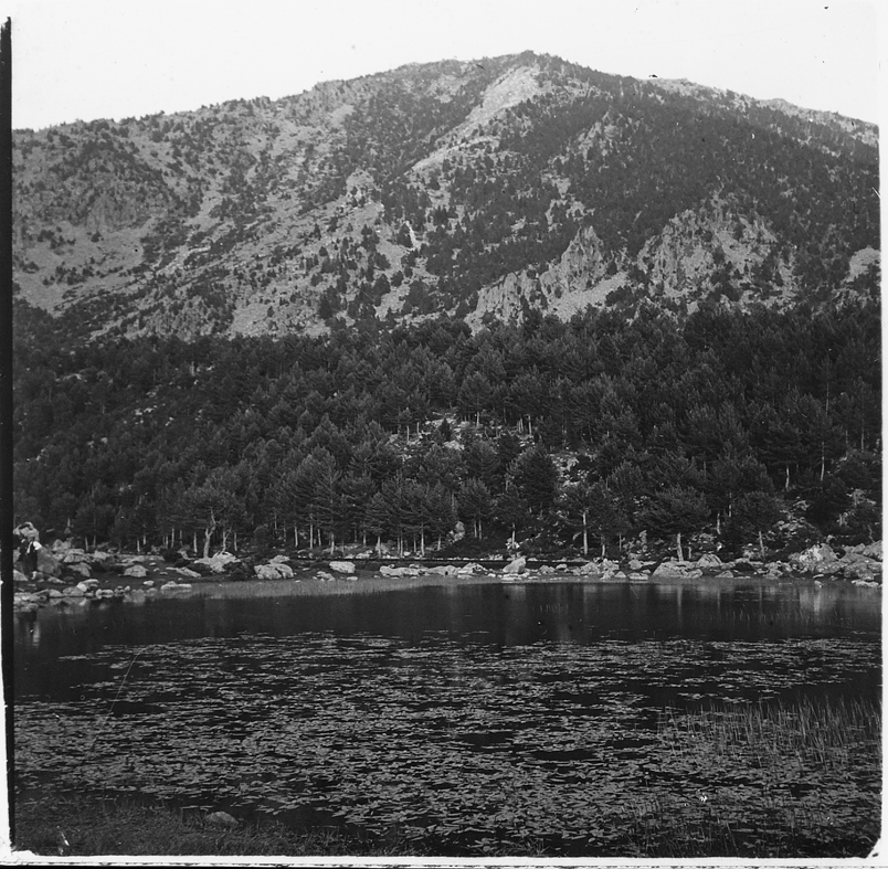 19-FSA