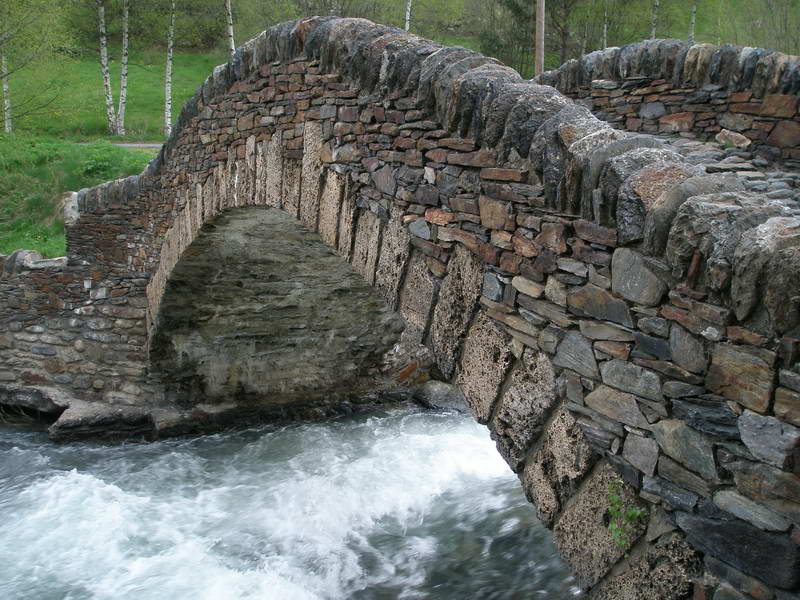 foto22009