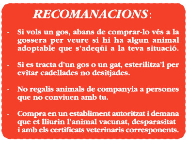 recomendacions