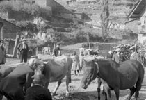 canillo
