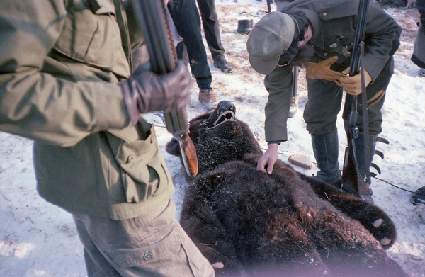 3.GA SFG 31974