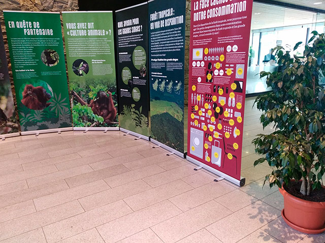 Expo Grands Singes 03