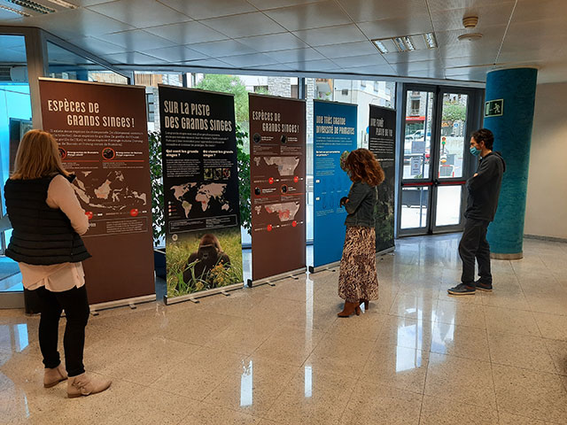 Expo MEES 01