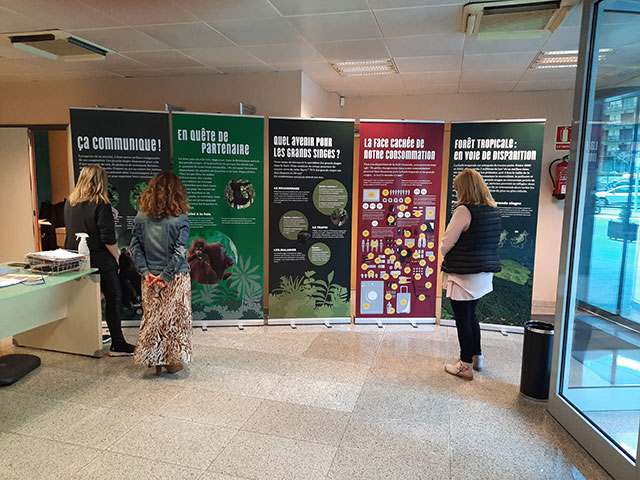 Expo MEES 02