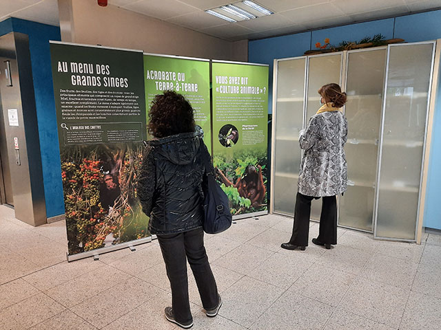 Expo MEES 03