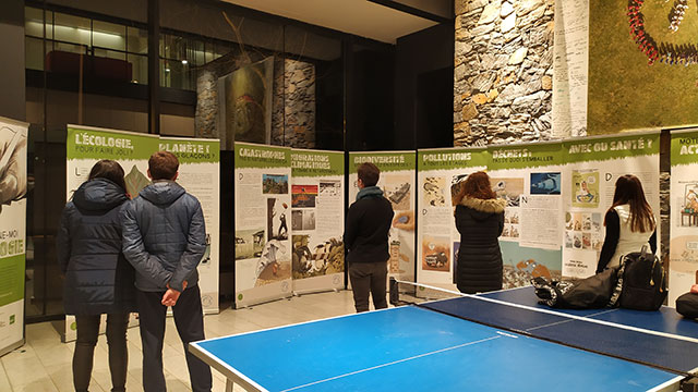 Expo FP 01