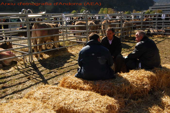 Imagen de Fira-concurs d'Andorra