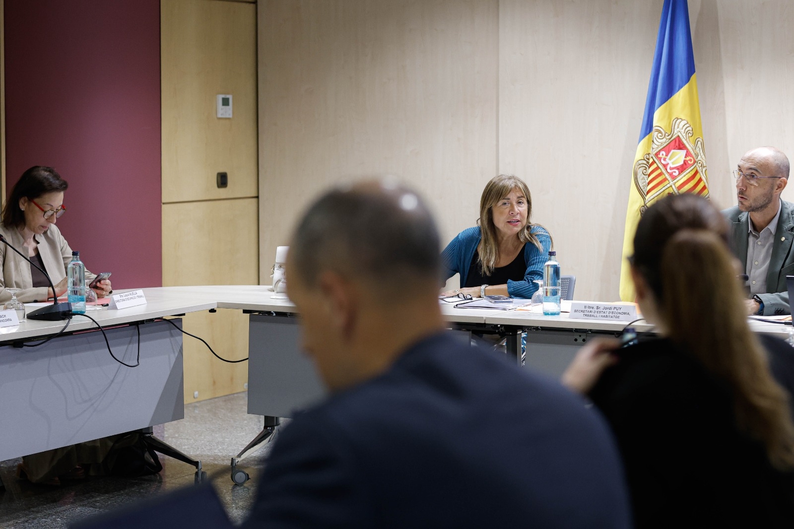 Dictamen favorable del Consell Econòmic i Social al Projecte de llei per al creixement sostenible i el dret a l’habitatge