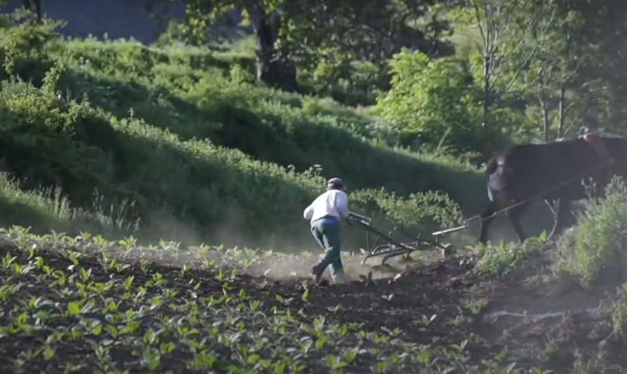 Andorra, primer país en assolir en la seva globalitat el distintiu de Sistema Important del Patrimoni Agrícola Mundial de la FAO