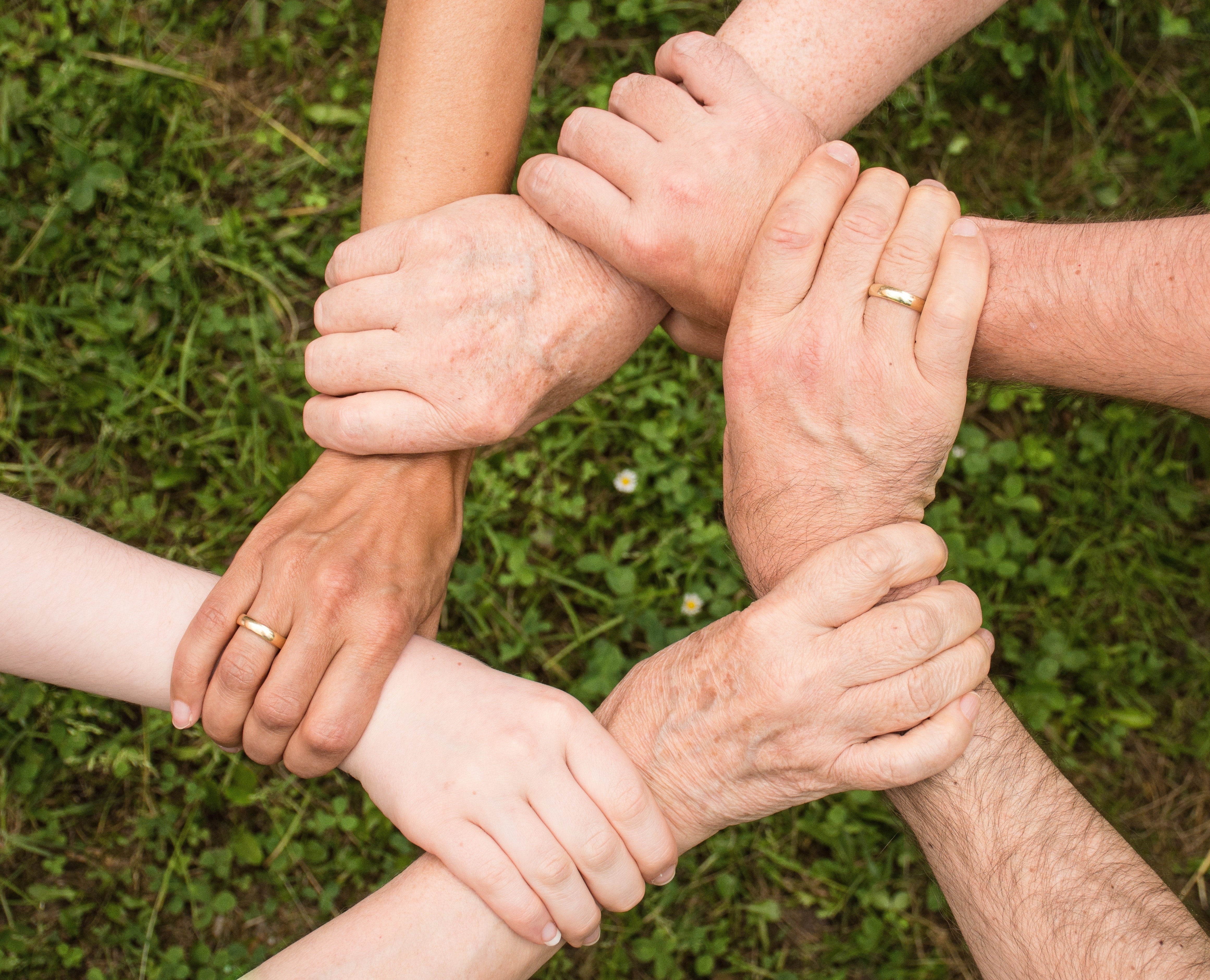 Afers Socials atorga les subvencions a les entitats sense ànim de lucre per a projectes de serveis socials