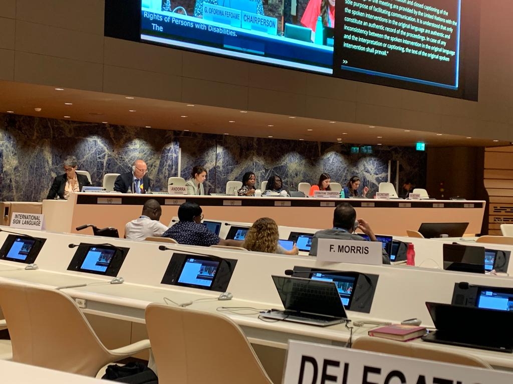 Un comitè d’experts de l’ONU remarca el rol exemplar d’Andorra per garantir els drets de les persones amb discapacitat