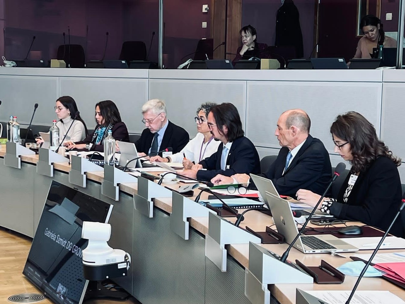 Andorra i la UE segueixen les converses sobre la lliure circulació de persones en la cinquena sessió de negociació de l’any