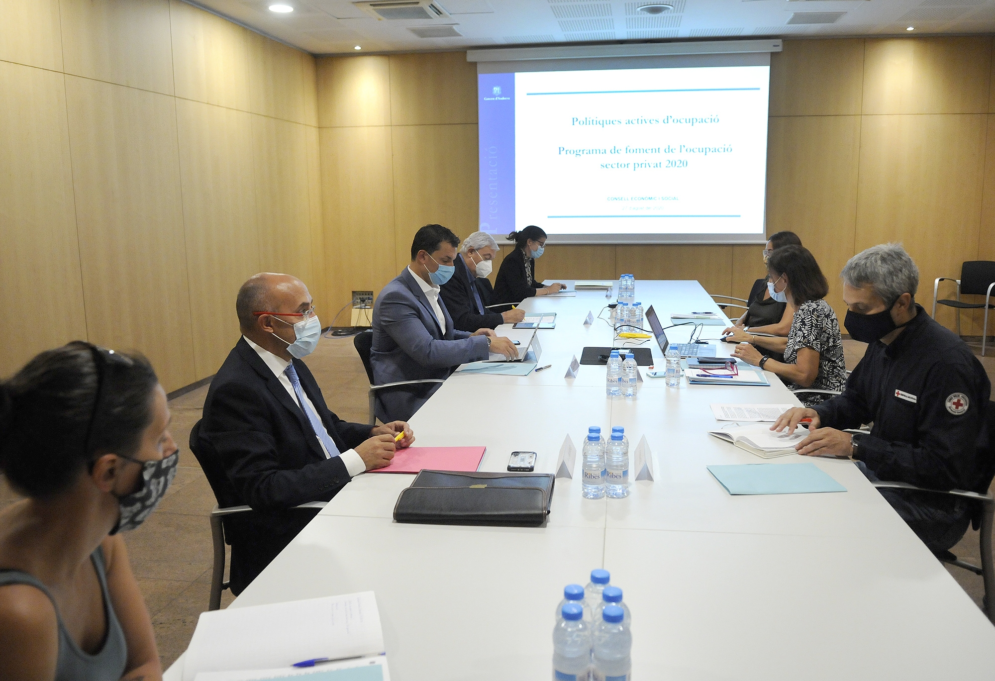 Gallardo presenta al Consell Econòmic i Social el programa de foment de la contractació en el sector privat en el marc de la COVID-19