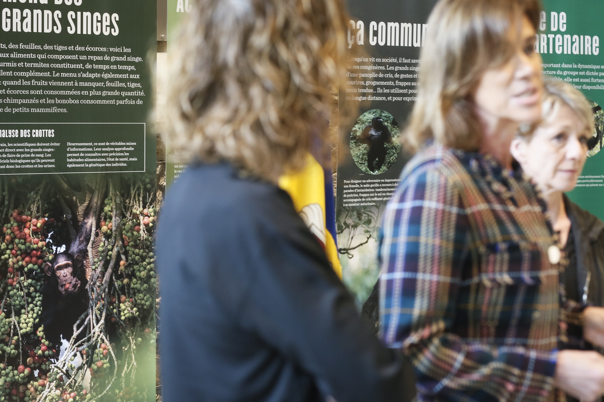 Vilarrubla presenta una exposició itinerant per les escoles per commemorar el 50è aniversari de l’Organització Internacional de la Francofonia