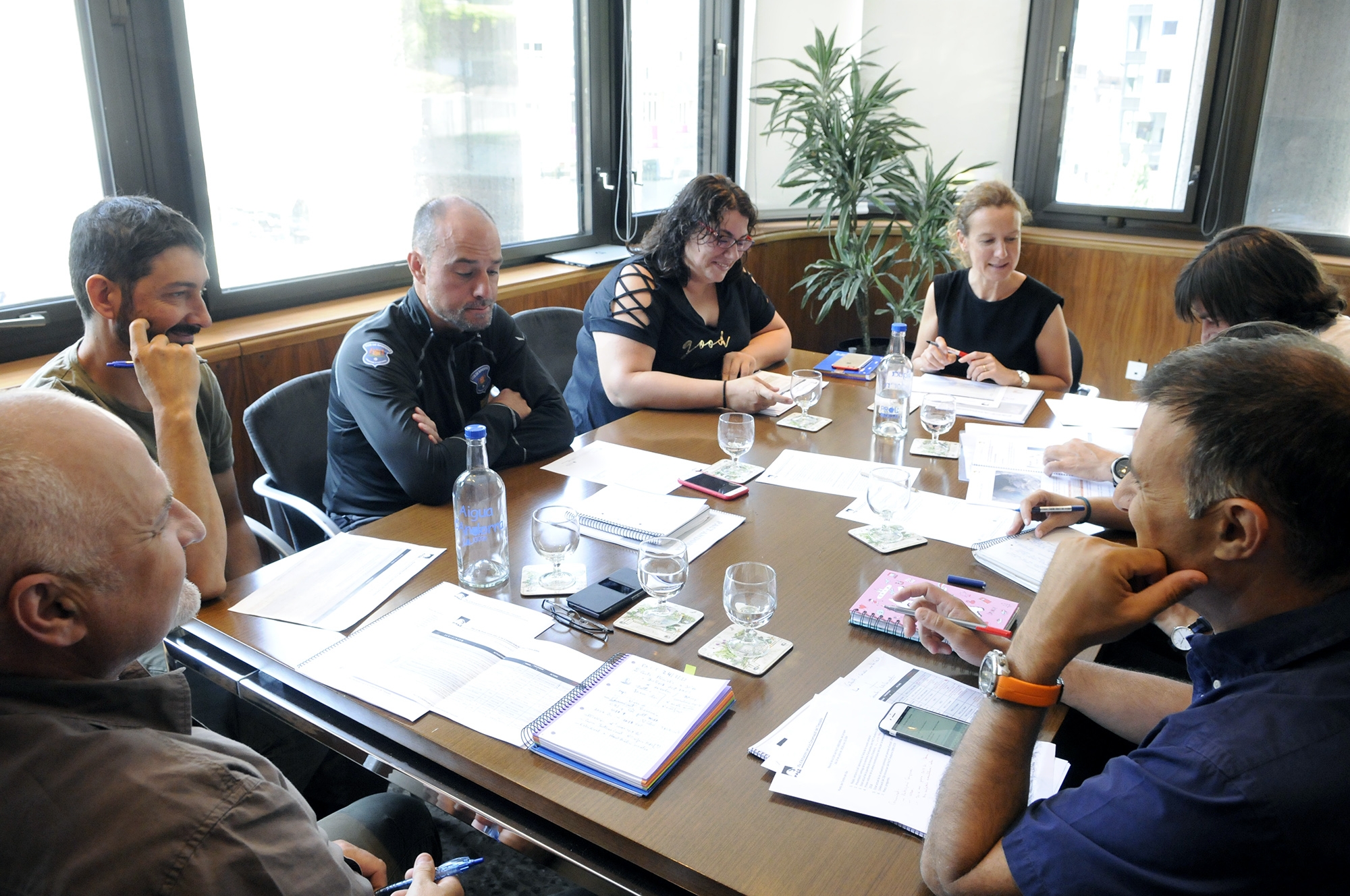 La reproducció del trencalòs assoleix l’èxit al 2018 amb l’enlairament de la cria