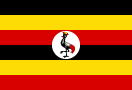 bandera